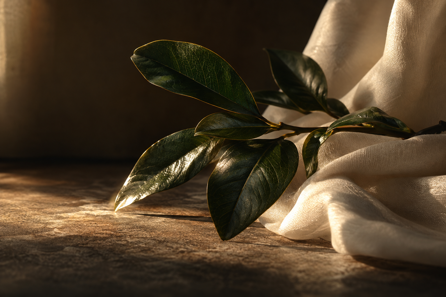 Soft light falling across green leaves and ivory fabric